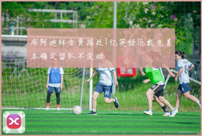 布阿迪转会费接近1亿英镑范戴克基本确定留队不变动