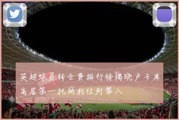 英超球员转会费排行榜揭晓卢卡库高居第一托纳利位列第八