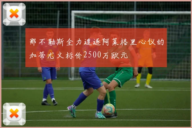 那不勒斯全力追逐阿莱格里心仪的加蒂尤文标价2500万欧元